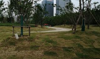 合肥园博园开放时间及门票 合肥园博园开放时间及门票